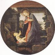 Madonna in Adoration of the Christ Child (mk36), Sandro Botticelli